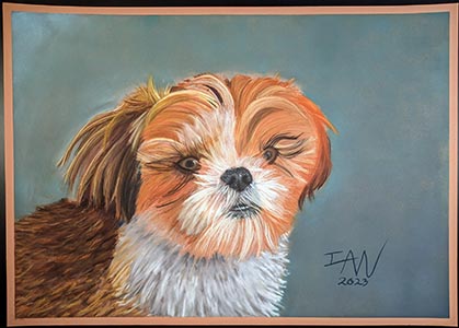 A Shih Tzu puppy in pastel